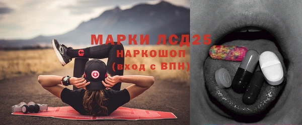 твердый Магас